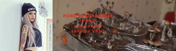 а пвп мука Армянск