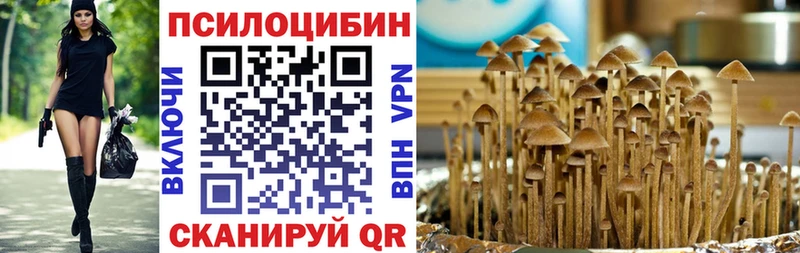 Купить  Сосногорск  Псилоцибиновые грибы MAGIC MUSHROOMS 